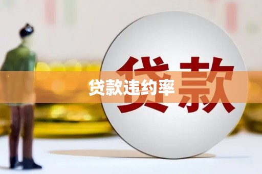 中西贷款违约率