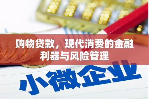 中西购物贷款，现代消费的金融利器与风险管理