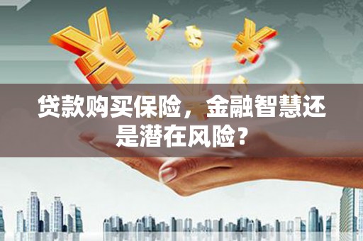 中西贷款购买保险，金融智慧还是潜在风险？