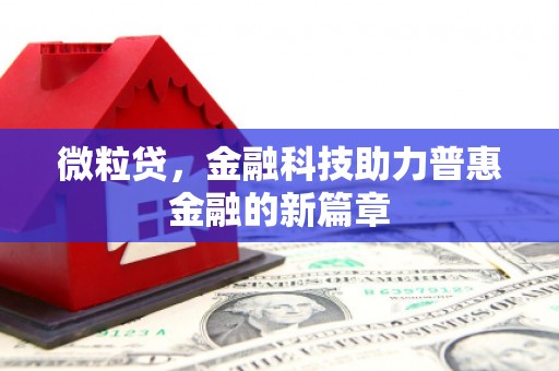 中西微粒贷，金融科技助力普惠金融的新篇章