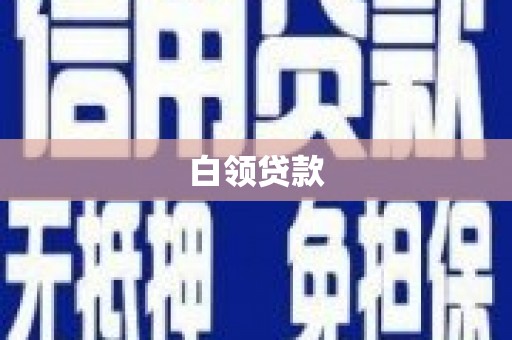 中西白领贷款