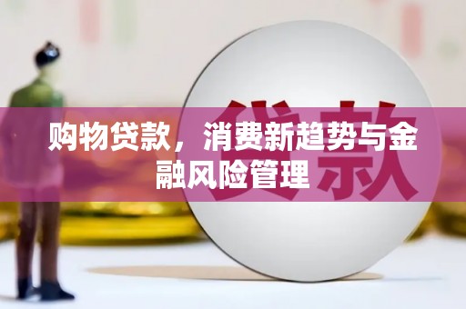 中西购物贷款，消费新趋势与金融风险管理
