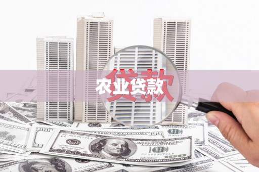 中西农业贷款