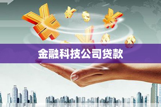 中西金融科技公司贷款