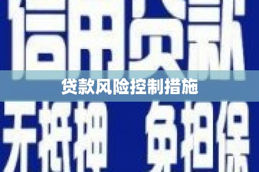 中西贷款风险控制措施