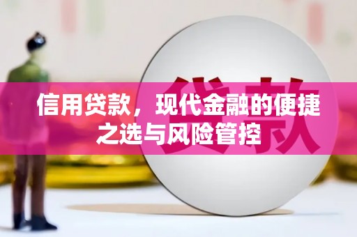 中西信用贷款，现代金融的便捷之选与风险管控