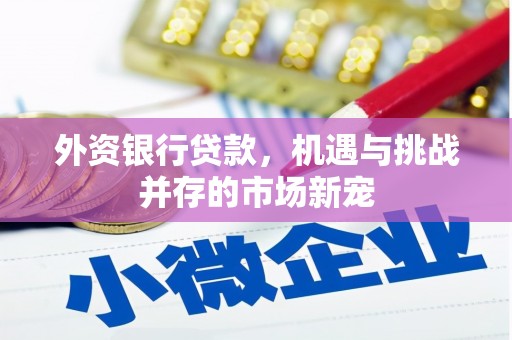 中西外资银行贷款，机遇与挑战并存的市场新宠