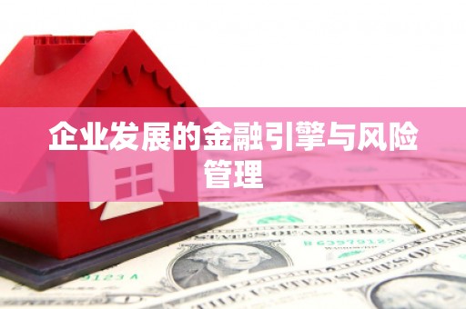 中西企业发展的金融引擎与风险管理