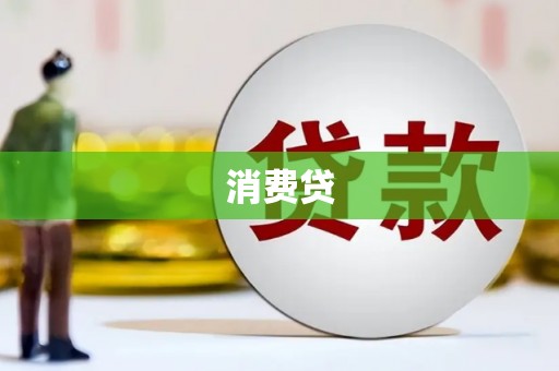 中西消费贷