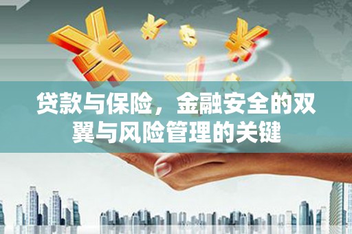 中西贷款与保险，金融安全的双翼与风险管理的关键