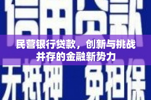 中西民营银行贷款，创新与挑战并存的金融新势力