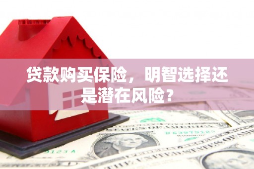 中西贷款购买保险，明智选择还是潜在风险？