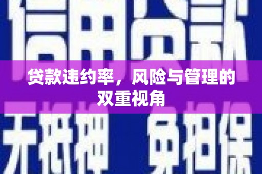 中西贷款违约率，风险与管理的双重视角