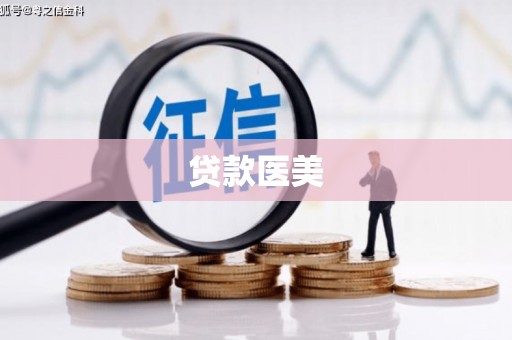 中西贷款医美