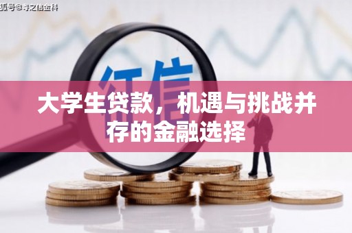 中西大学生贷款，机遇与挑战并存的金融选择