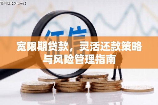 中西宽限期贷款，灵活还款策略与风险管理指南