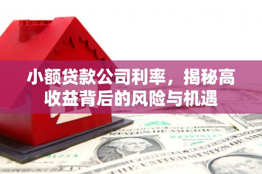 中西小额贷款公司利率，揭秘高收益背后的风险与机遇