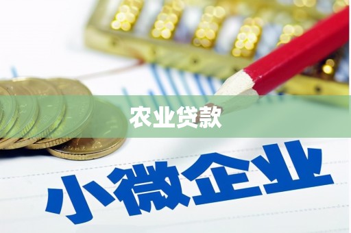 中西农业贷款