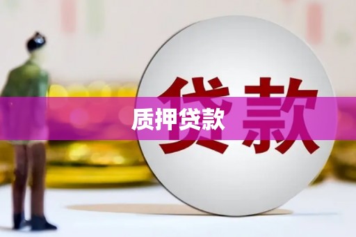 中西质押贷款