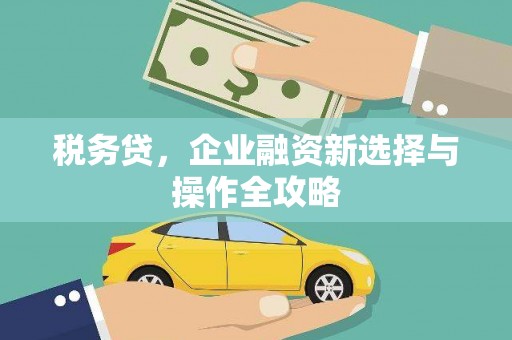 中西税务贷，企业融资新选择与操作全攻略