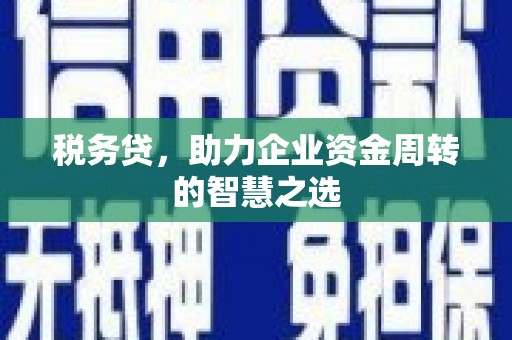 中西税务贷，助力企业资金周转的智慧之选