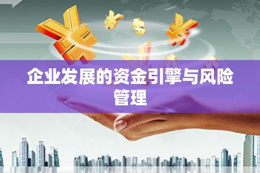 中西企业发展的资金引擎与风险管理