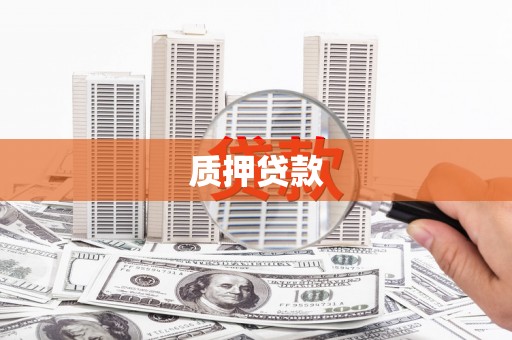 中西质押贷款