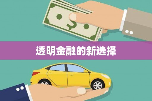 中西透明金融的新选择