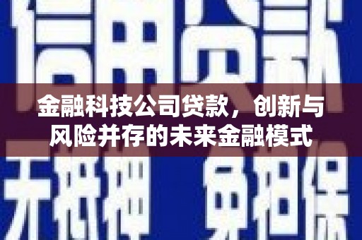 中西金融科技公司贷款，创新与风险并存的未来金融模式