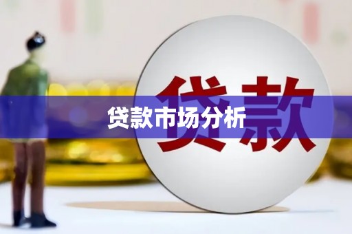 中西贷款市场分析