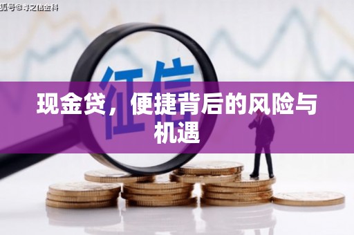 中西现金贷，便捷背后的风险与机遇