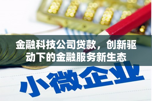 中西金融科技公司贷款，创新驱动下的金融服务新生态