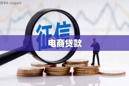中西电商贷款