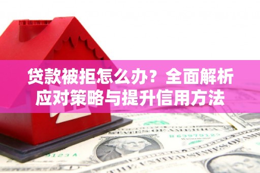 中西贷款被拒怎么办？全面解析应对策略与提升信用方法