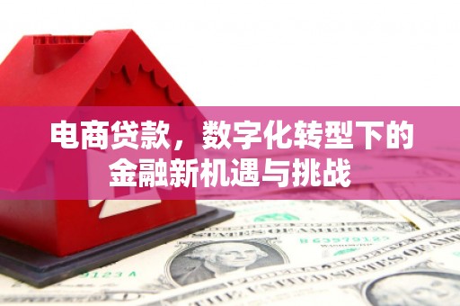 中西电商贷款，数字化转型下的金融新机遇与挑战