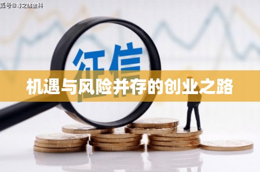 中西机遇与风险并存的创业之路