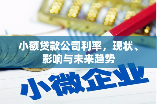 中西小额贷款公司利率，现状、影响与未来趋势