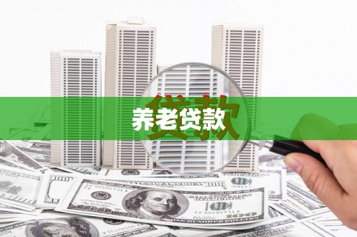 中西养老贷款