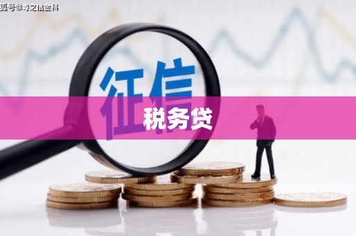 中西税务贷
