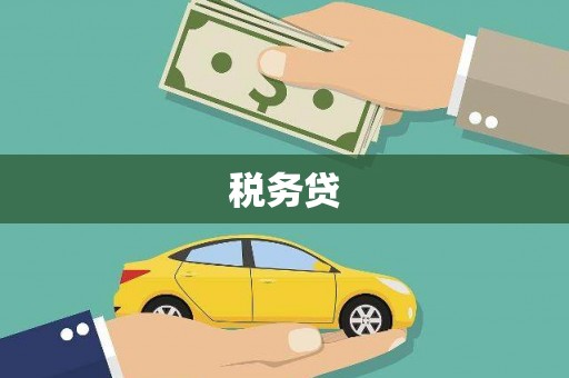 中西税务贷