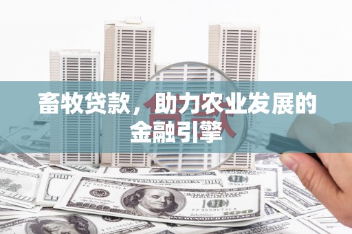 中西畜牧贷款，助力农业发展的金融引擎
