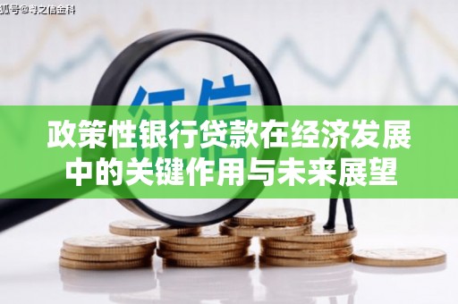 中西政策性银行贷款在经济发展中的关键作用与未来展望