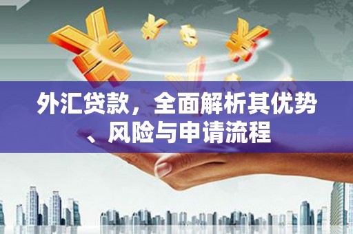 中西外汇贷款，全面解析其优势、风险与申请流程