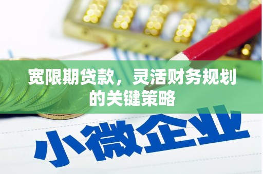中西宽限期贷款，灵活财务规划的关键策略