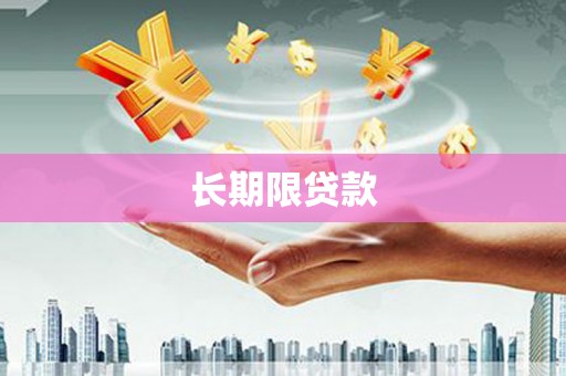 中西长期限贷款