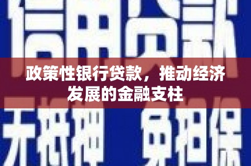 中西政策性银行贷款，推动经济发展的金融支柱