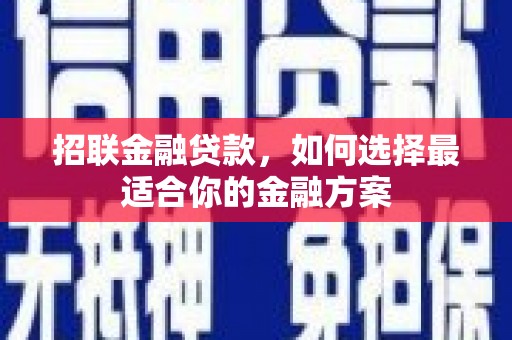 中西招联金融贷款，如何选择最适合你的金融方案