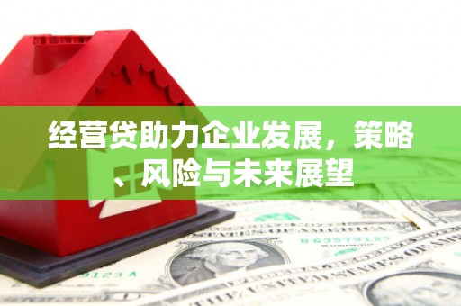 中西经营贷助力企业发展，策略、风险与未来展望