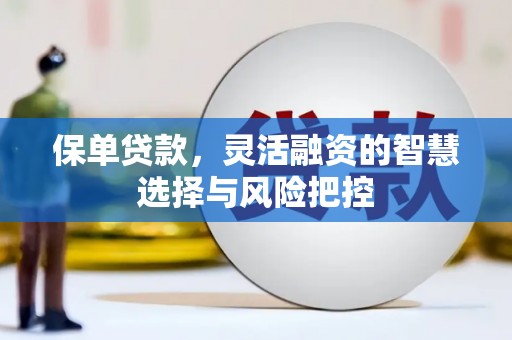 中西保单贷款，灵活融资的智慧选择与风险把控