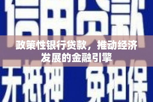 中西政策性银行贷款，推动经济发展的金融引擎